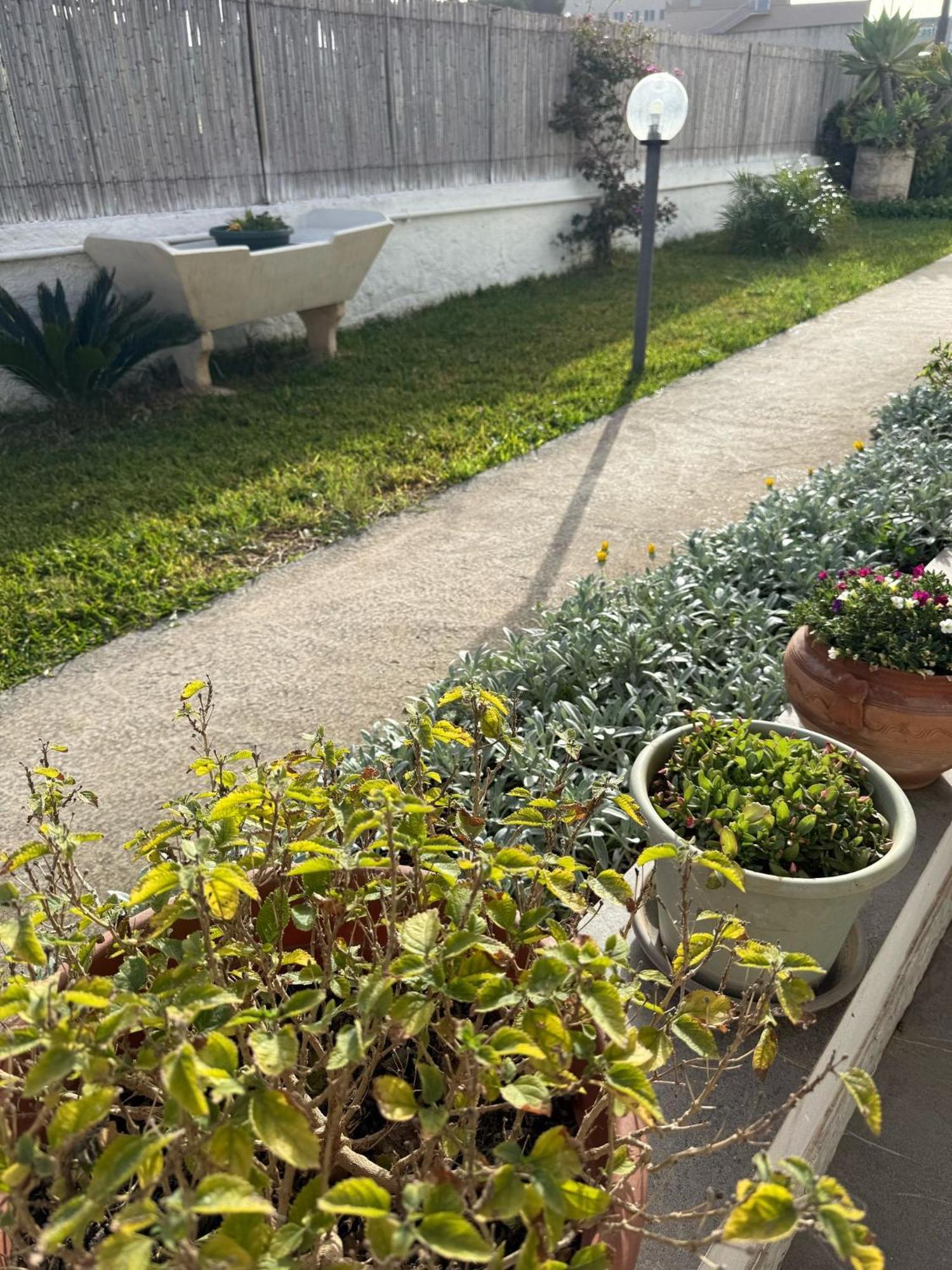 A Casa Di Coso B&B Марсала Экстерьер фото
